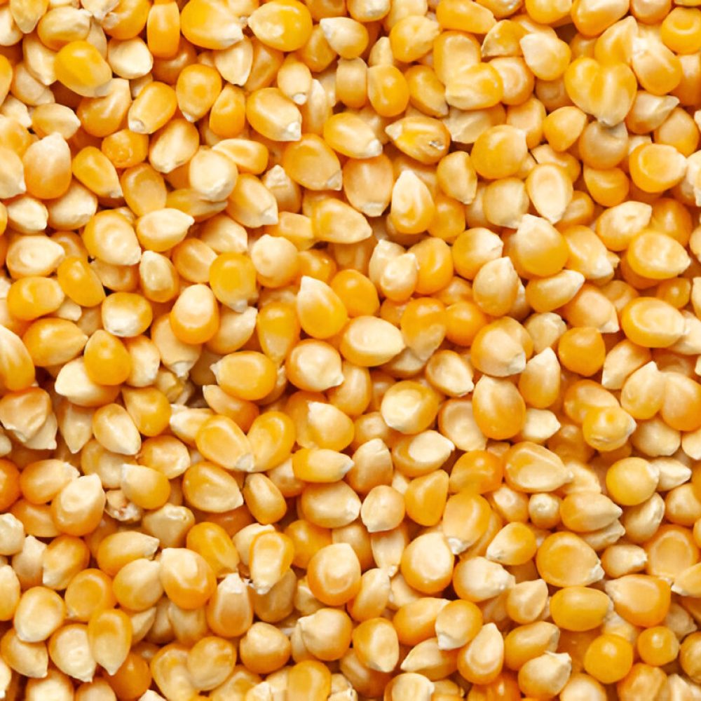 Corn
