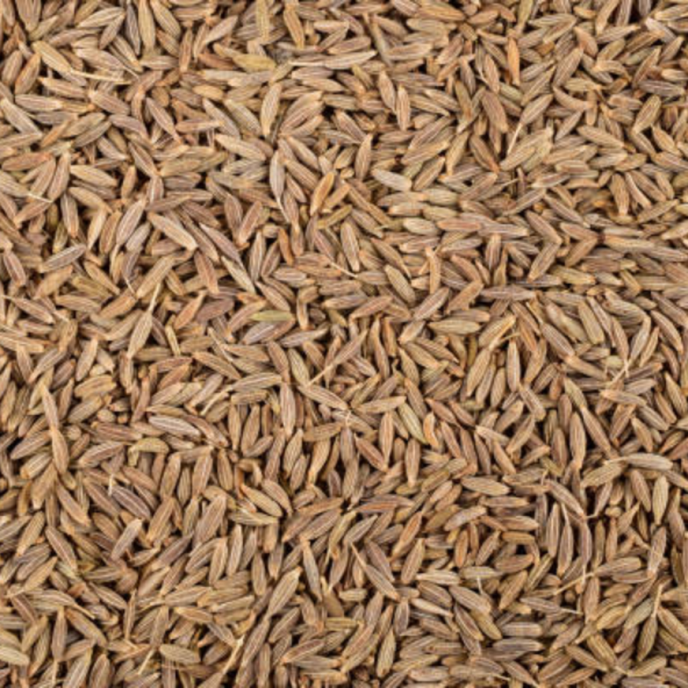 Cumin Seeds