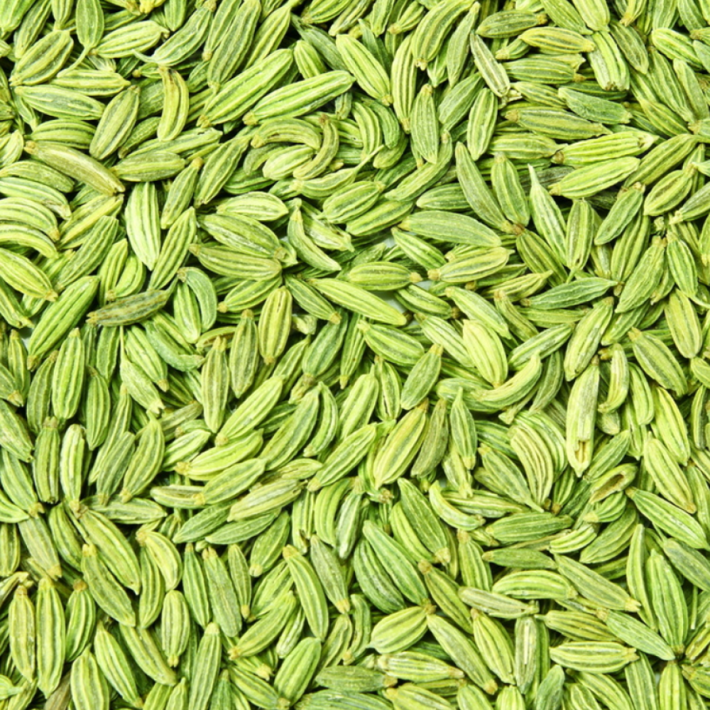 Fennel seed